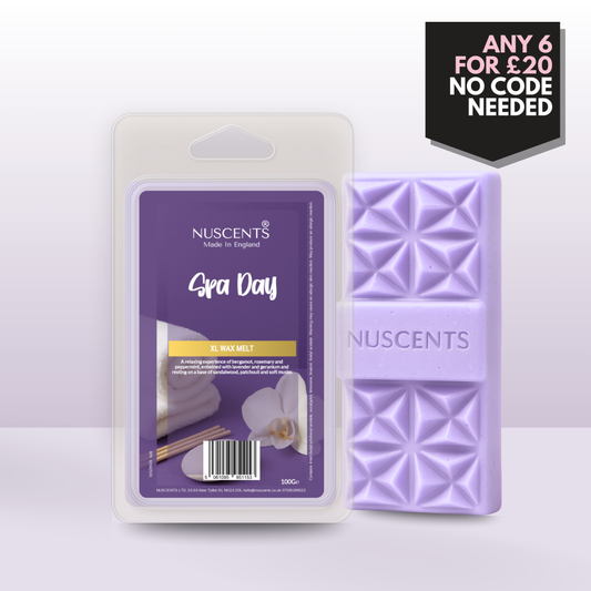 Spa Day Wax Melt 100g XL
