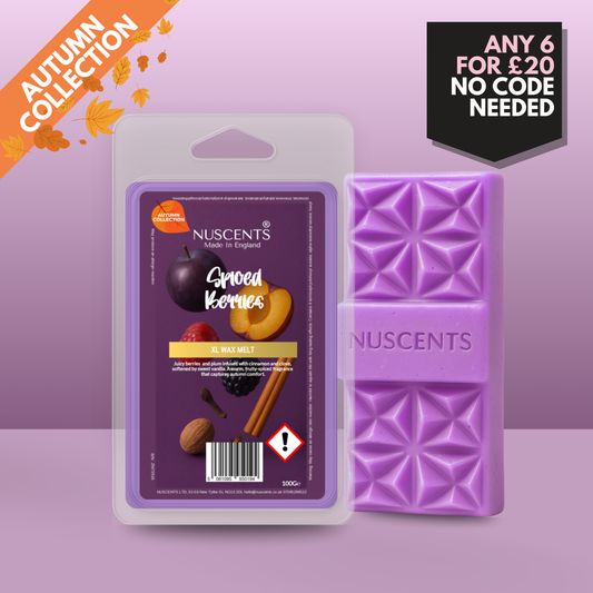 *AUTUMN Spiced Berries Wax Melt 100g XL