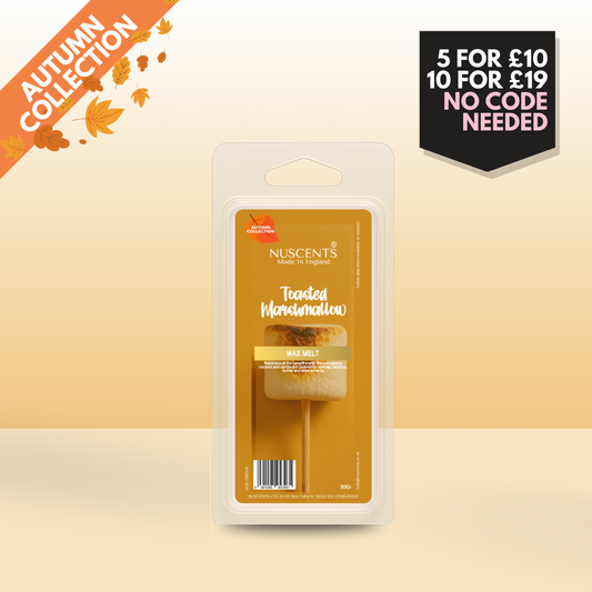 50g *AUTUMN Toasted Marshmallow Scented Wax Melt