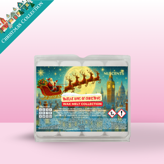 BLACK FRIDAY DEAL Twelve Days Of Christmas Wax Melt Box