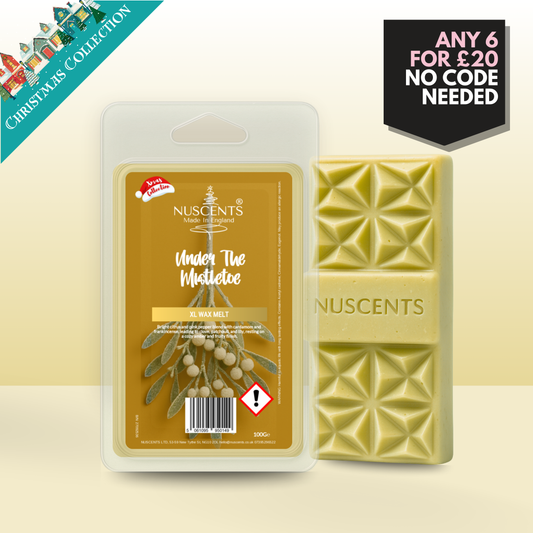*CHRISTMAS Under The Mistletoe Wax Melt 100g XL