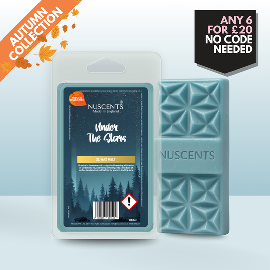 *AUTUMN Under The Stars Wax Melt 100g XL
